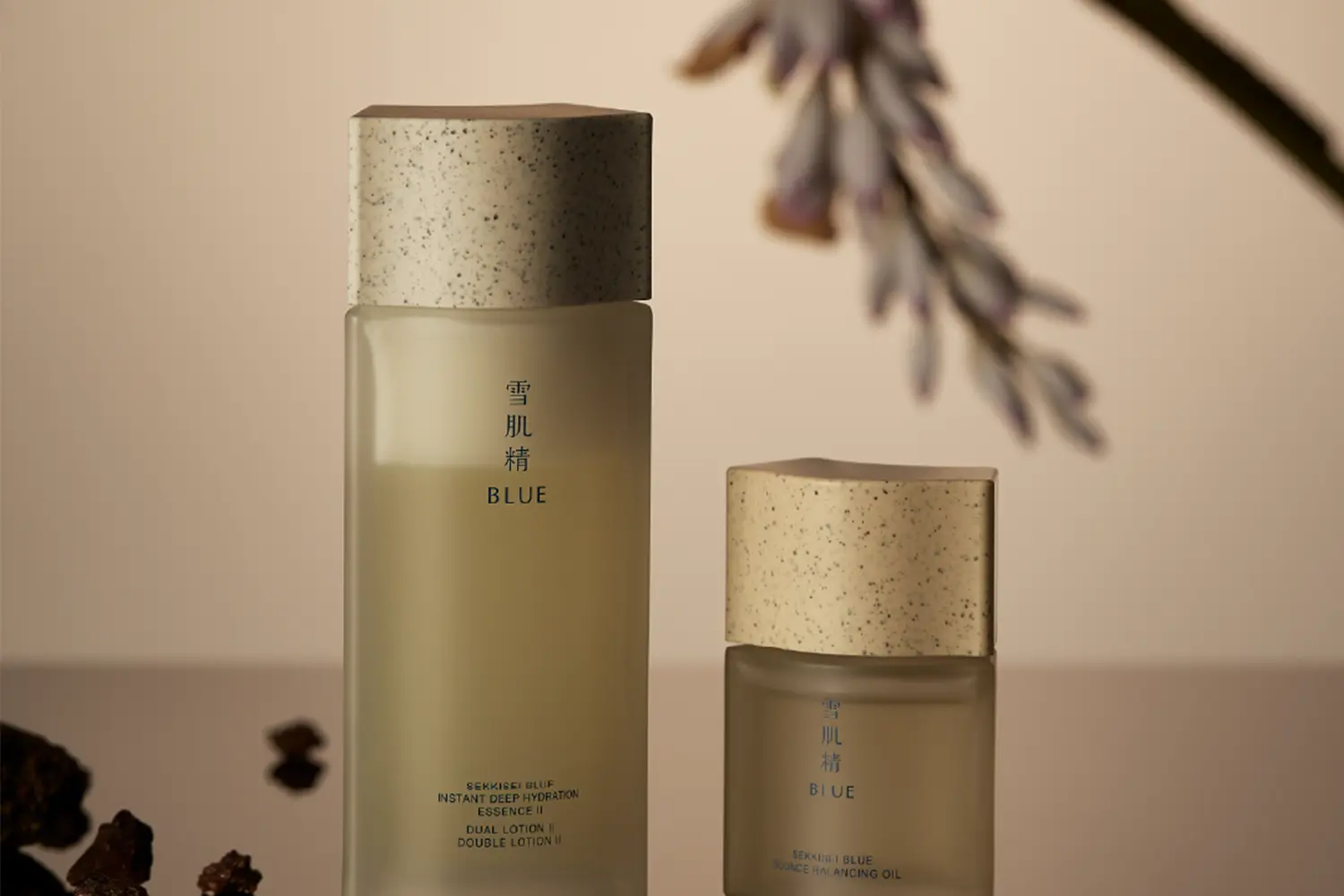 sekkisei blue main visual